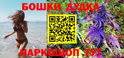 ГАЛЛЮЦИНОГЕННЫЕ ГРИБЫ Кандалакша