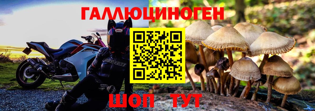 Кострома  Галлюциногенные грибы GOLDEN TEACHER  Вход с VPN  продажа наркотиков  Псилоцибиновые грибы мухоморы 